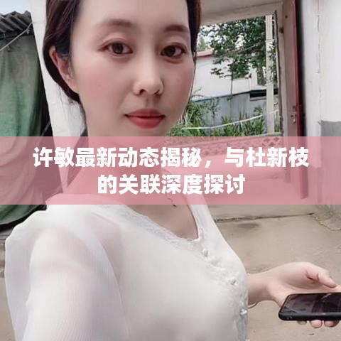 许敏最新动态揭秘，与杜新枝的关联深度探讨