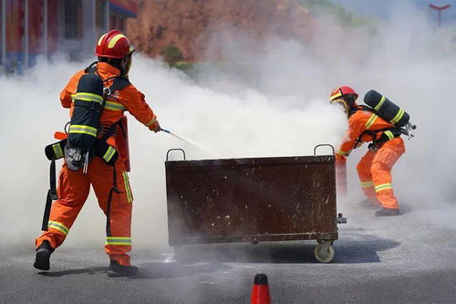 网络安全顾问深度解析,触宝白条官方版下载的安全防护能力