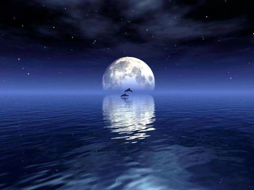 一花独放 第5页