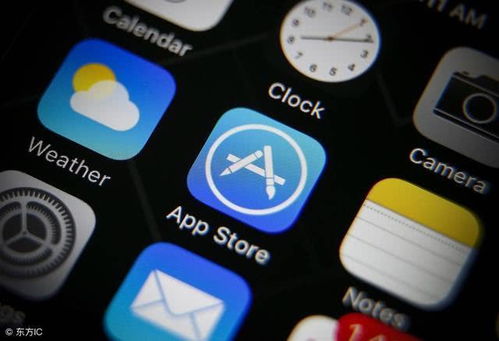 砸六家app官方下载,科学解答解释定义 苹果版_v5.129