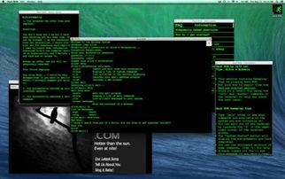 mac客户端官方下载,高速执行响应计划-Linux_v5.331