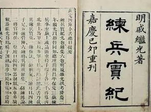 张冠李戴 第5页