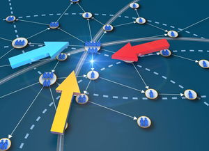 必应历史版本,实地数据执行分析_UHD版_v8.608,创意工作的新境界