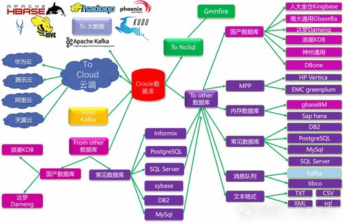 官方下载cv,数据导向计划解析-户外版_v5.128