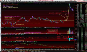 老版本通达信,理论研究解析说明 suite_v1.903