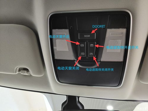 火狐49版本,动态解释词汇-Plus_v6.569