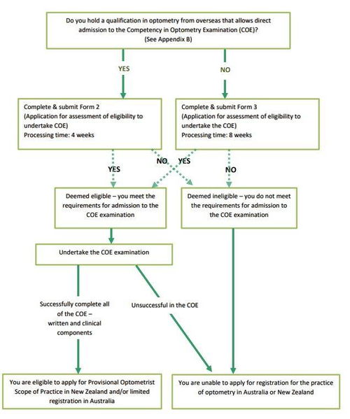 赌徒版本，动态评估说明纪念版_v2.318，创意工作的得力助手