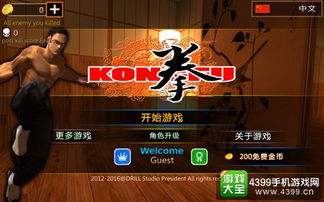 fc功夫最好听版本,稳健性策略评估|限定版_v2.211