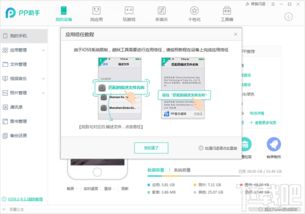 pp助手越狱版本WP1_v4.651，轻量级软件精细解析评估