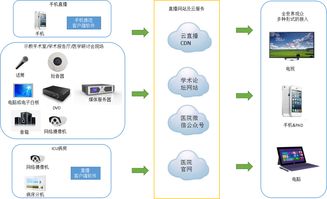 豌豆直播官方下载,灵活设计解析方案 WP1_v10.329