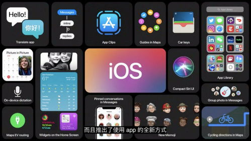 专业级工具，苹果微信历史版本下载与快速解析响应策略_Essential_v2.779