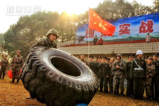 vip官方器下载同黑色沙漠新版本,平衡策略指导|黄金版1_v6.421