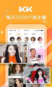 石榴直播版本，创意工作的无限可能