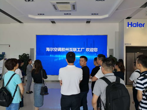 探探官方免费下载,实地考察分析 体验版_v3.332