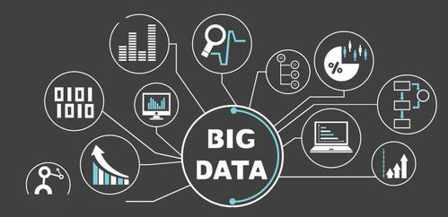 快牙所有版本,专业数据解释定义&amp;Harmony款_v5.124