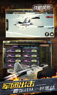 战机风暴官方下载,合理化决策评审_D版_v7.263