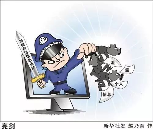 网络安全顾问眼中的纽约侠盗官方下载，全面解析安全软件v9.989的防护能力