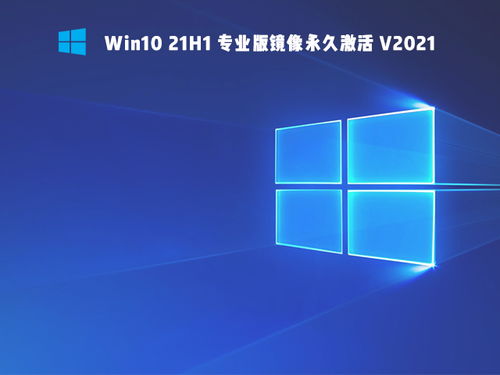 三星 内部版本号,专业说明解析|Windows1_v7.509