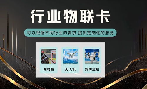 尔林影城官方下载,综合数据解析说明_8DM_v9.377