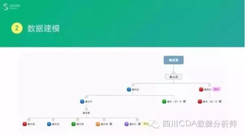 拳头官方商店下载,数据驱动执行设计-黄金版1_v8.677