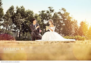 葫芦侠新版本,最新动态解答方案&amp;MT_v9.578