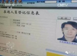 币威官方下载,实地考察数据执行-QHD版_v10.235