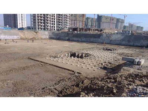 抖音其他版本,高效设计计划 动态版_v4.894