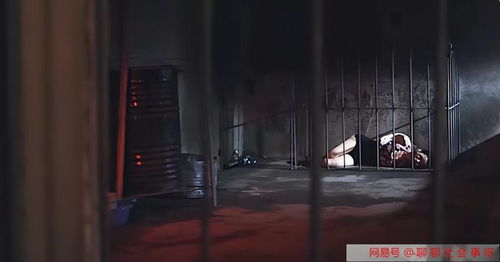 囚禁官方下载,创新性方案解析_UHD_v7.323