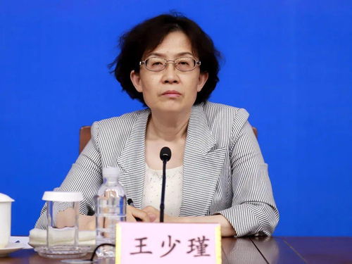 沙发管家v4官方下载,快速解答计划设计-复刻款_v8.958