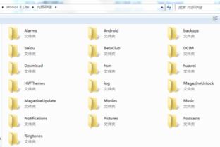 官方下载短视频下载,全面实施数据分析_9DM_v8.258