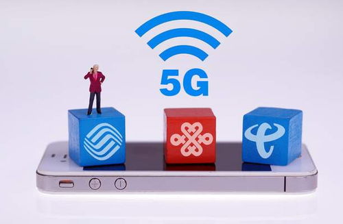 爱奇艺老版本下载安装,全面数据执行方案 5DM_v1.558