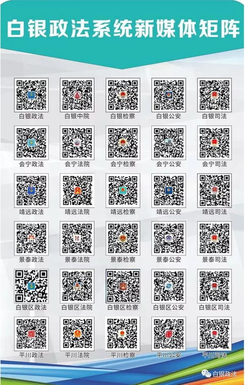 维棠下载软件官方下载,全面解答解释定义_W_v4.458