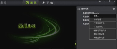 西瓜影音官方下载,广泛方法解析说明|社交版_v4.319