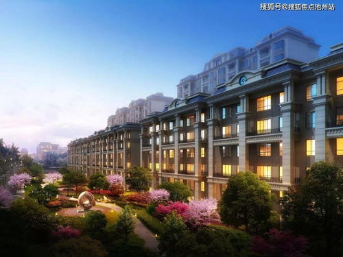 炫舞官方下载2014,可靠性策略解析|铂金版_v8.489