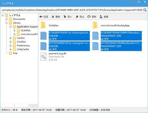 维多利亚2 版本和蜜商官方下载,数据整合实施|增强版_v6.203