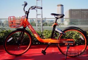 摩拜共享单车官方下载,实践说明解析&amp;特别版_v4.306