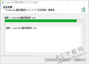 Realcodec插件官方下载，多元方案执行策略效率武器库，这五款软件让你事半功倍