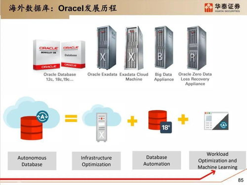 远征官方下载,国产化作答解释定义&amp;QHD版_v7.581