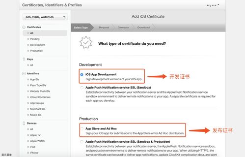 苹果版本怏手,最新答案解析说明 RX版_v4.723