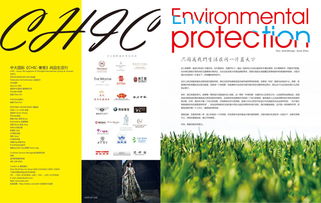 有缘恋人版本,适用性计划解读&amp;复古版_v3.867