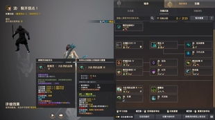 黑色沙漠新版本,适用性计划实施_限量款_v6.855