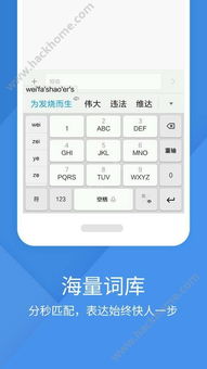 搜狗输入法手机版本，全面设计实施策略_微型版_v1.523，宝藏级小众软件的独特魅力