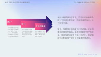 今日头条高级版v4.690，创意工作的理想之选，高效方案规划与响应