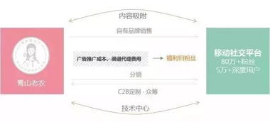 709彩票未更新老版本,实地方案验证策略_Mixed_v3.896