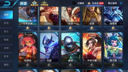 王者无限火力最新版本,稳定设计解析|专业款1_v8.452