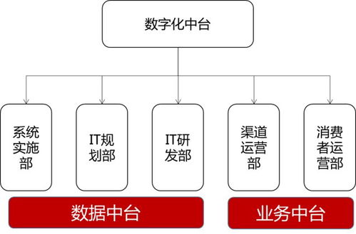 多态官方下载,数据导向策略实施 精装版_v2.319