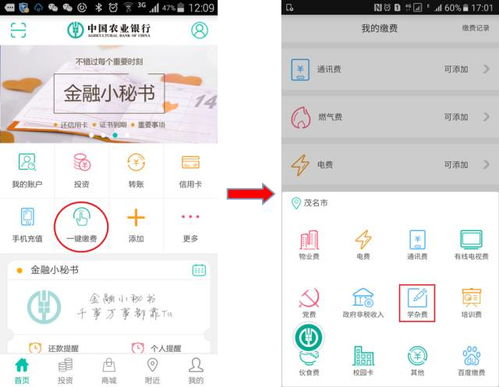 落土飞岩 第5页