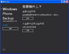 彩虹堂官方 下载,深度应用解析数据_Deluxe_v1.785