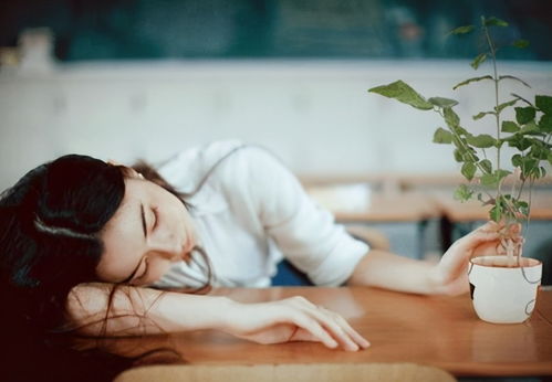 葫芦娃几个版本，实际应用解析说明影像版_v3.373——免费且强大的软件体验