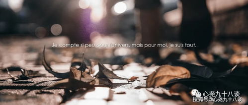 逝去的辉煌，回顾那些曾经风靡一时的经典软件